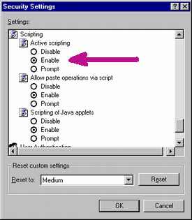 Internet Explorer Security Setting window